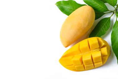 Beyaz arka planda yeşil yapraklı nefis olgun sarı mango. kopya alanı ve üst görünüm, Tayland 'da yaz meyveleri