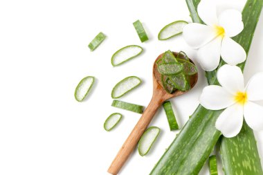 Ahşap kaşıkta taze Aloe Vera ve Plumeria çiçekleri beyaz arka planda ve fotokopi alanı ile üstten görünüşü, cilt bakımı, saç bakımı ve güzellik ürünleri için kullanışlı bitkisel ilaçlar.