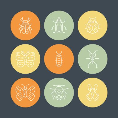 İnce çizgi vektör tarzında yapılmış böcekler topluluğu. Hata sembolleri, doğa öğeleri. 