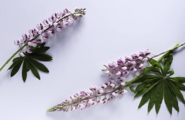 Çiçek sınır Üstten Görünüm