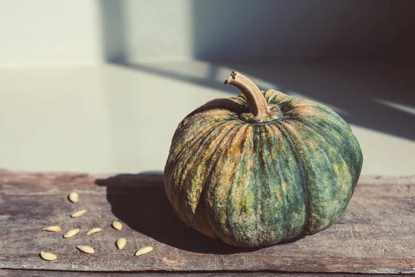 Zucca verde cruda — Foto Stock