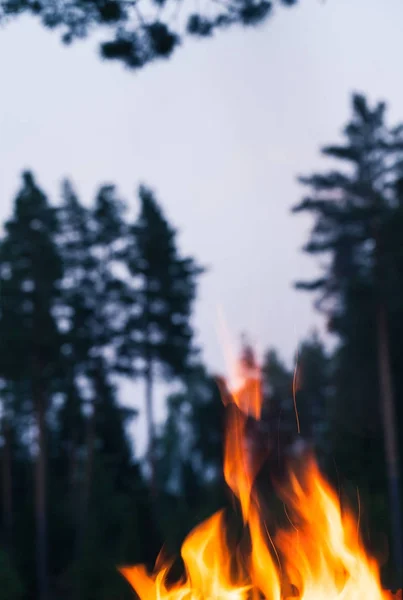 Lagerfeuerflamme — Stockfoto