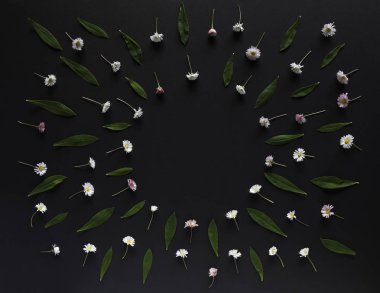 Çiçek sınır Üstten Görünüm