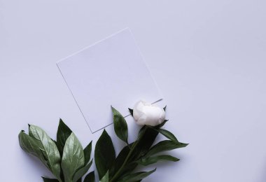 Çiçek sınır Üstten Görünüm