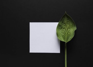 Mockup çiçekli