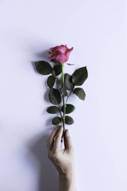 Soyut çiçek portre