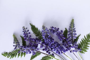 Çiçek sınır Üstten Görünüm