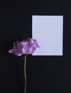 Mockup çiçekli