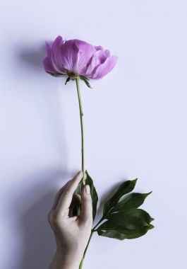 Çiçek sınır Üstten Görünüm