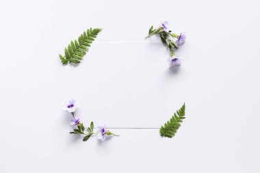 Çiçek sınır Üstten Görünüm