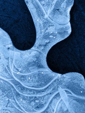 Doğal sıvının makro fotoğrafı