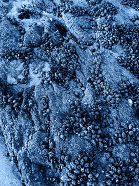 Doğal taş desenine yakın çekim