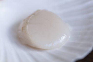 Franch Karaborsacı Makro