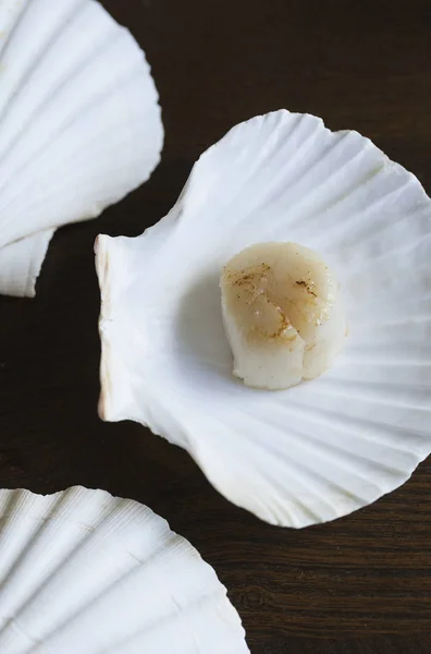 Franch Scallops macro — Fotografia de Stock