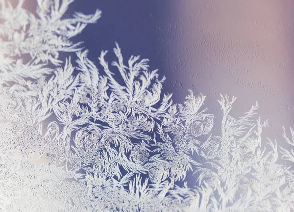 Magische vorst ornamenten op de — Stockfoto