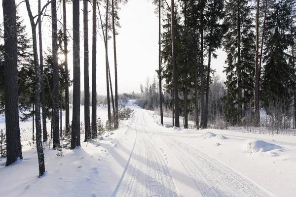 Winter scene outdoors - beautiful — Stock Photo, Image
