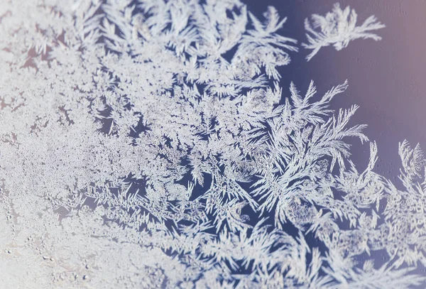 Magiska frost prydnader på — Stockfoto