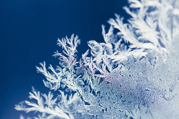 Magical frost ornaments on the — Stock Photo, Image