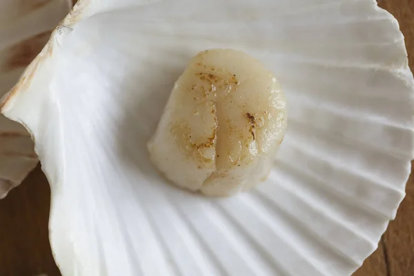 Franch Scallops macro — Fotografia de Stock