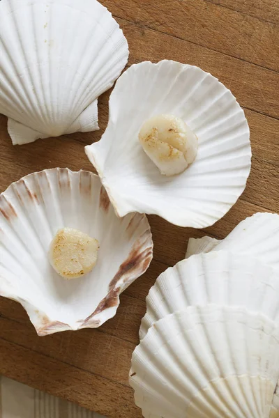 Franch Scallops Macro — Stockfoto