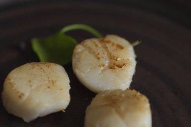 Franch Karaborsacı Makro