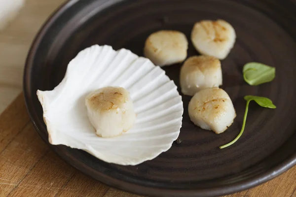 Franch Scallops macro — Fotografia de Stock