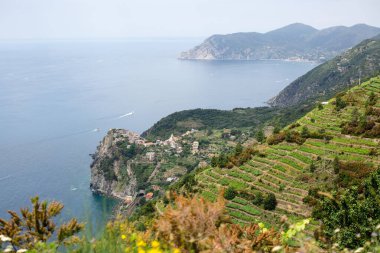 Güzel kuşlar kıyı manzaralı