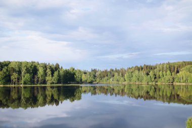 Ormanın ayna görüntüsüyle göl manzarası