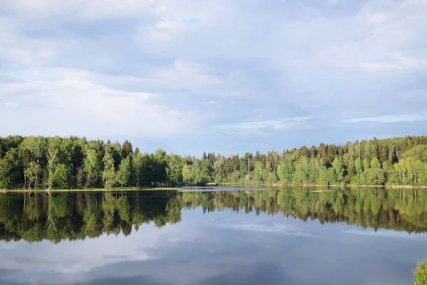 Ormanın ayna görüntüsüyle göl manzarası