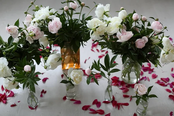 Flores Peônias Vasos — Fotografia de Stock
