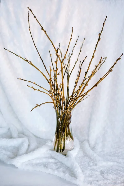 Spring branches in a vase