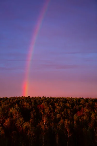 Arco Íris Céu Pôr Sol — Fotografia de Stock