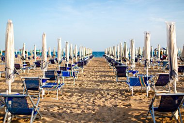 Akşamları kumsalda güneşlenirler.