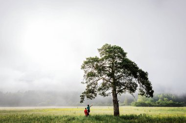 Ağaç, aşık çift misty dawn karşılar