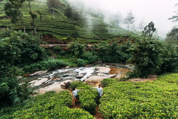 Green Tea Plantations Mountains Guy Girl Traveling Asia Man Woman — Stock Photo, Image
