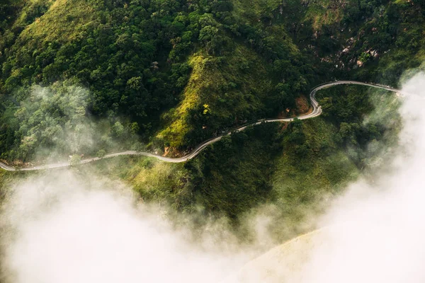 美しい緑で覆われて曲がりくねった山の道 — ストック写真