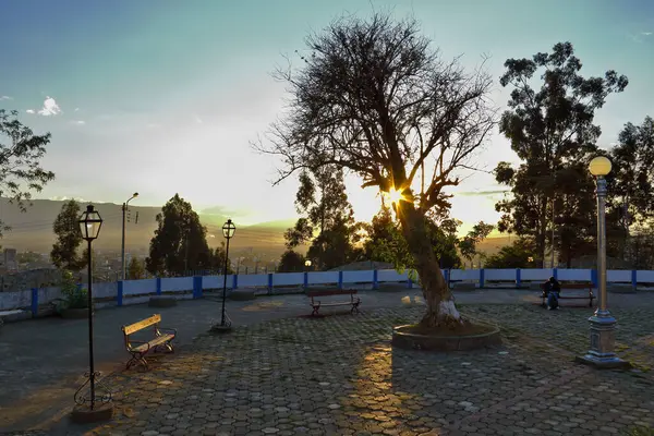 Der Atardecer von Arbol — Stockfoto