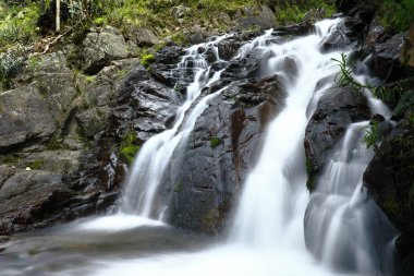 Cascada.