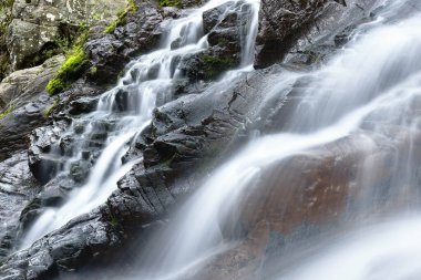 Cascada.