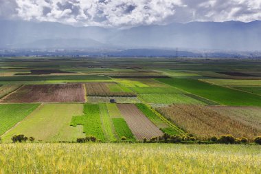 Sicaya 'daki tarlalar