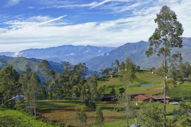 Hogar en las cimas andinas