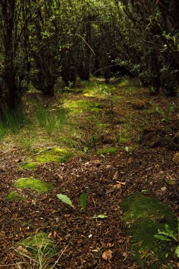 Fundo la cosecha del futuro