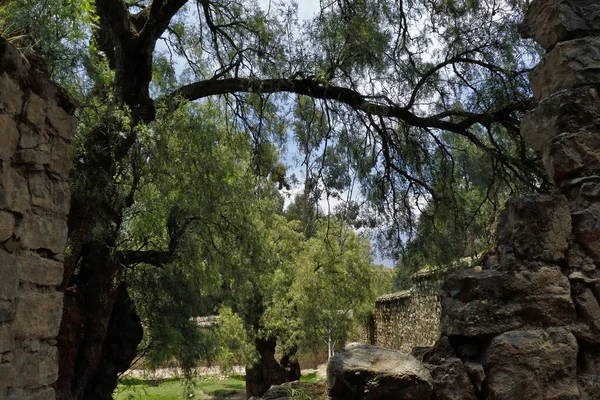 Detalle del templo Huari — Stock Photo, Image