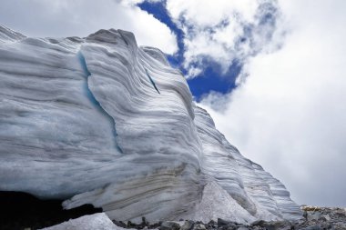 Nevado vernalı