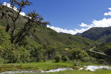 Aguas calientes_CV_0607