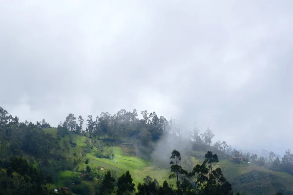 Neblina al amanecer — Stockfoto