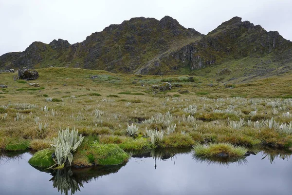 Orillas de laguna — Foto de Stock