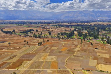 Campos de cultivo secos