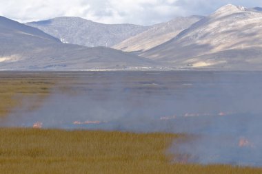 Quema de Pastizales andinos