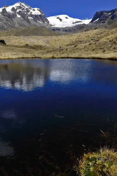 Nevado y laguna — 图库照片